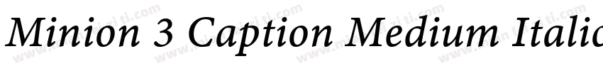 Minion 3 Caption Medium Italic字体转换